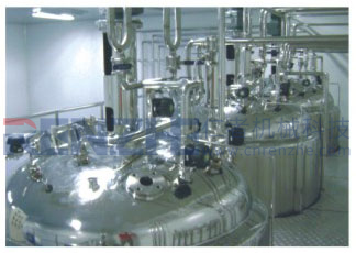 中試及工業(yè)規(guī)模機械攪拌發(fā)酵罐